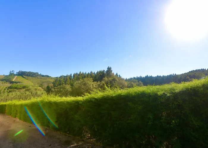 Casa Bianca Caldas Da Rainha